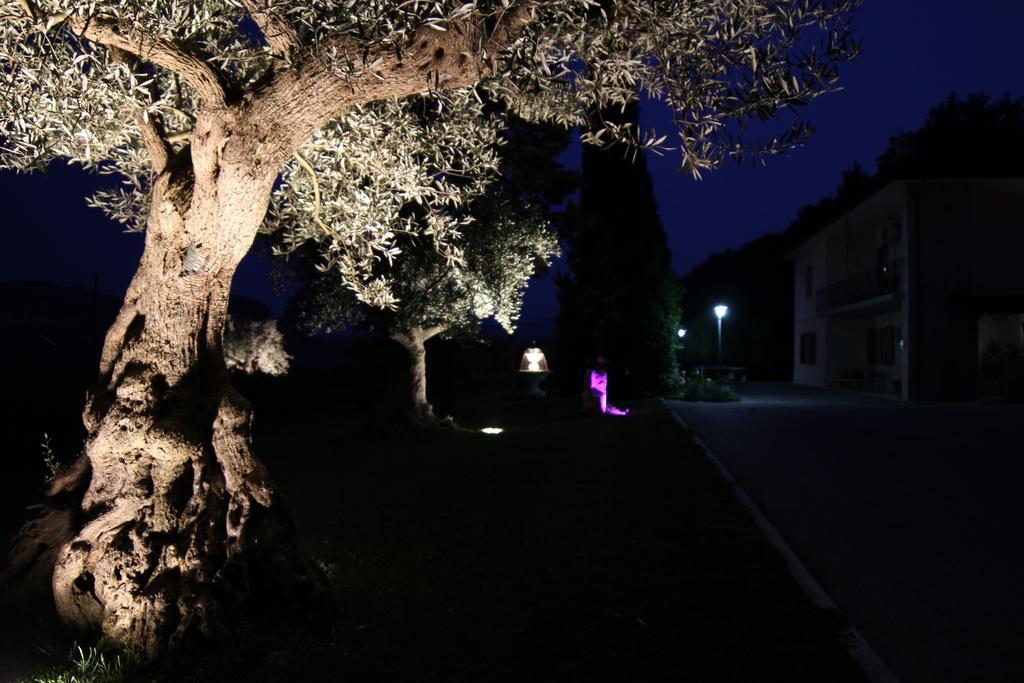 Il Villino Agriturismo B&B Belforte del Chienti ภายนอก รูปภาพ